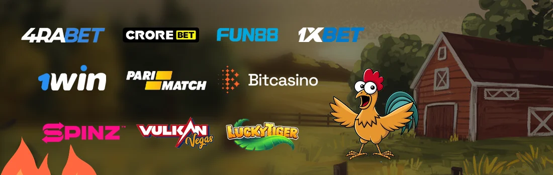 Best Casinos to Play Chicken Road Game for Real Money in India